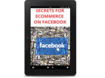 Secrets to Facebook Business